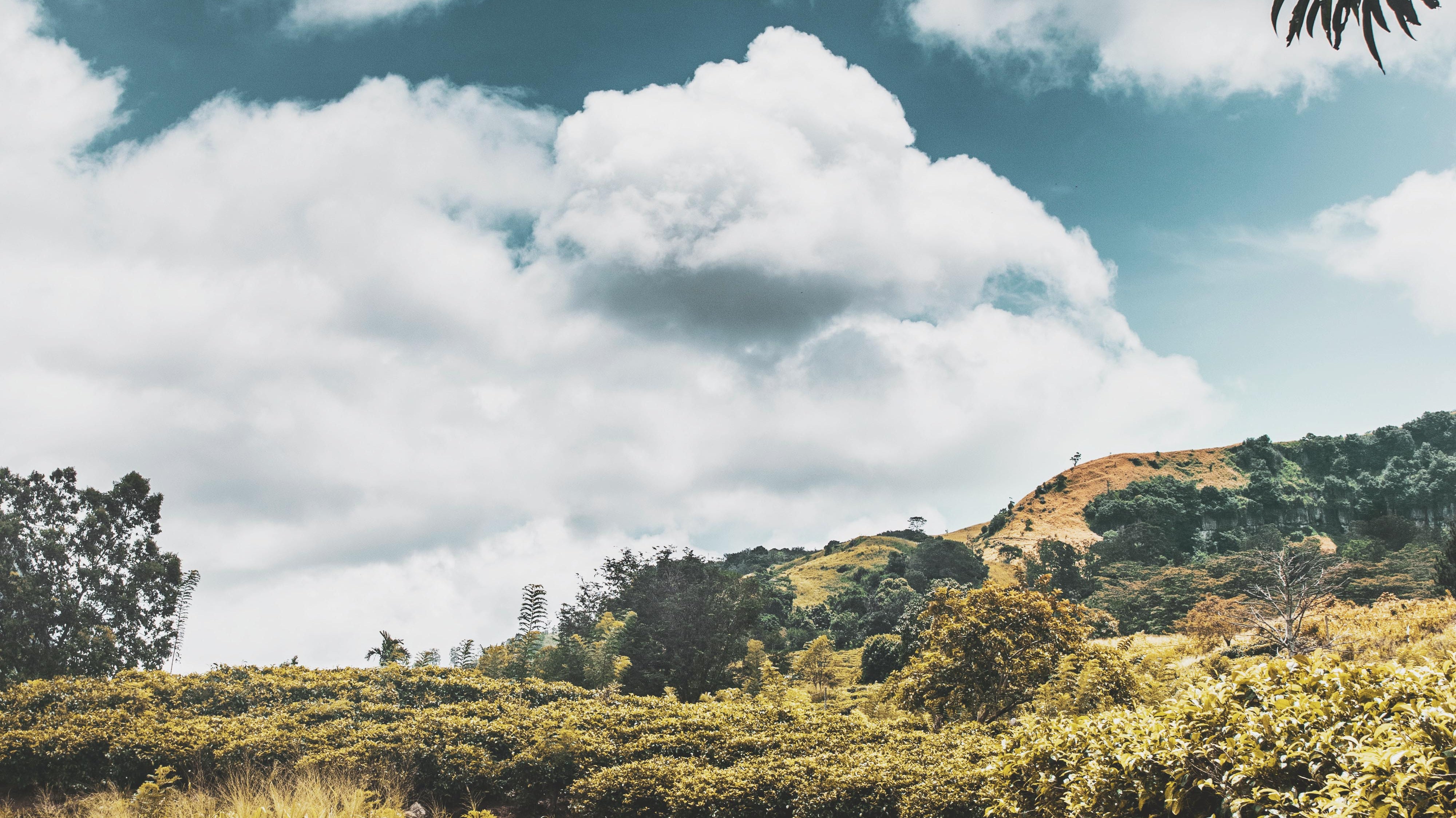 Five Eco-Farms in Malaysia for a City Escape | Shop Unplug