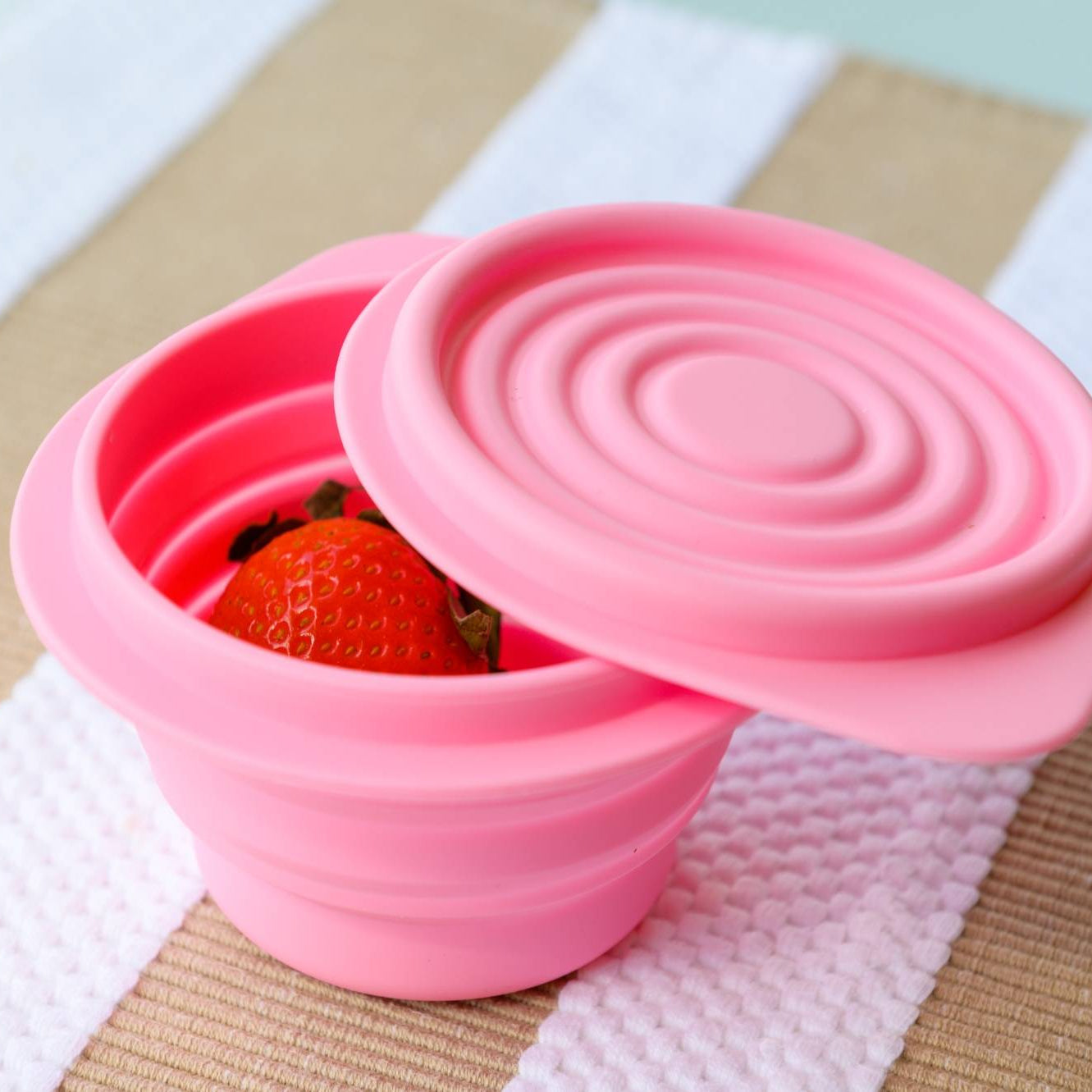 FOLDABLE STORAGE BOWL W/ COVER