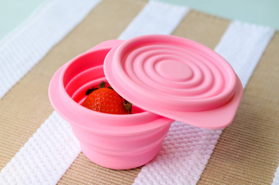 FOLDABLE STORAGE BOWL W/ COVER